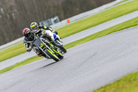 Oulton-Park-14th-March-2020;PJ-Motorsport-Photography-2020;anglesey;brands-hatch;cadwell-park;croft;donington-park;enduro-digital-images;event-digital-images;eventdigitalimages;mallory;no-limits;oulton-park;peter-wileman-photography;racing-digital-images;silverstone;snetterton;trackday-digital-images;trackday-photos;vmcc-banbury-run;welsh-2-day-enduro
